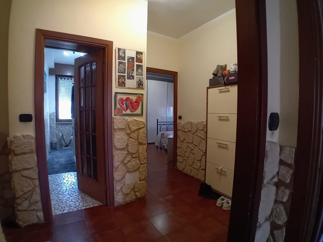 20250508_173426.jpg