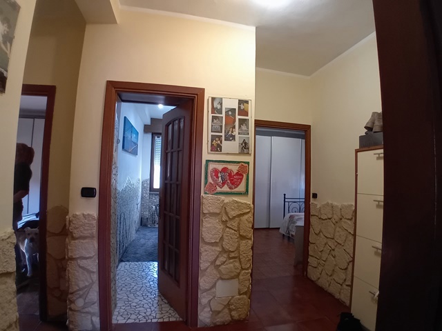 20250508_173322.jpg