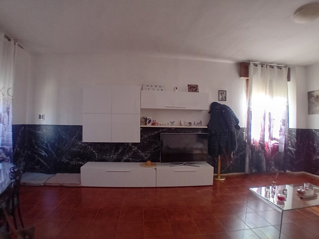 20250508_173534.jpg