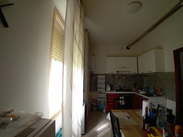 20250417_153025.jpg