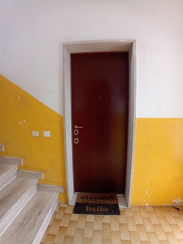 20250417_153518.jpg