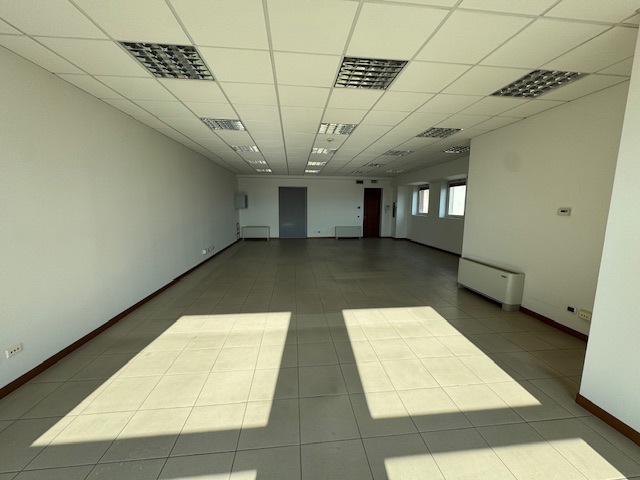 image5 (2).jpeg