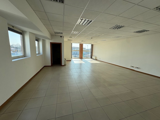 image3 (1).jpeg