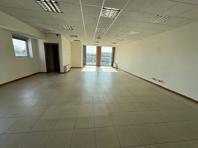 image2 (5).jpeg