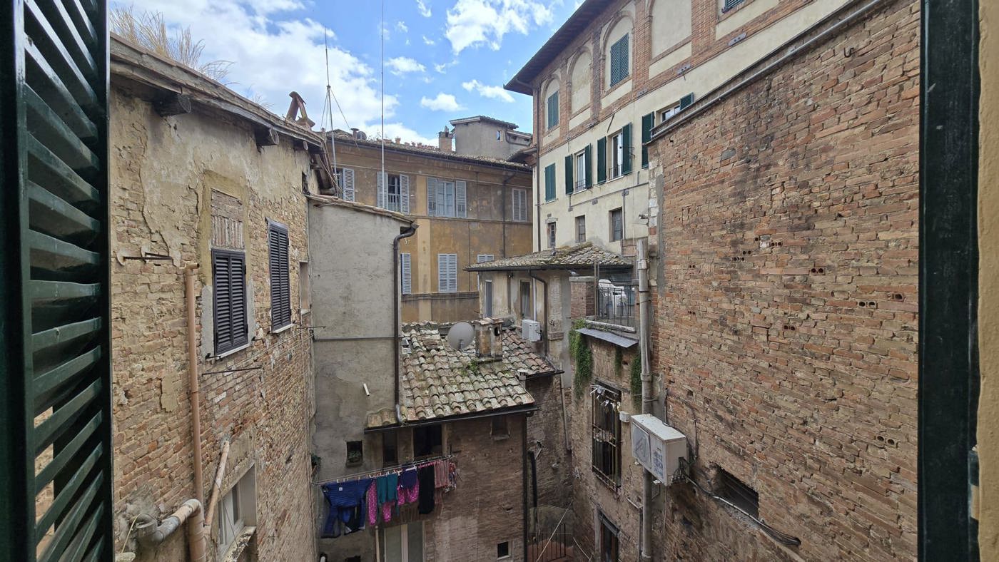 panorama (1).jpg