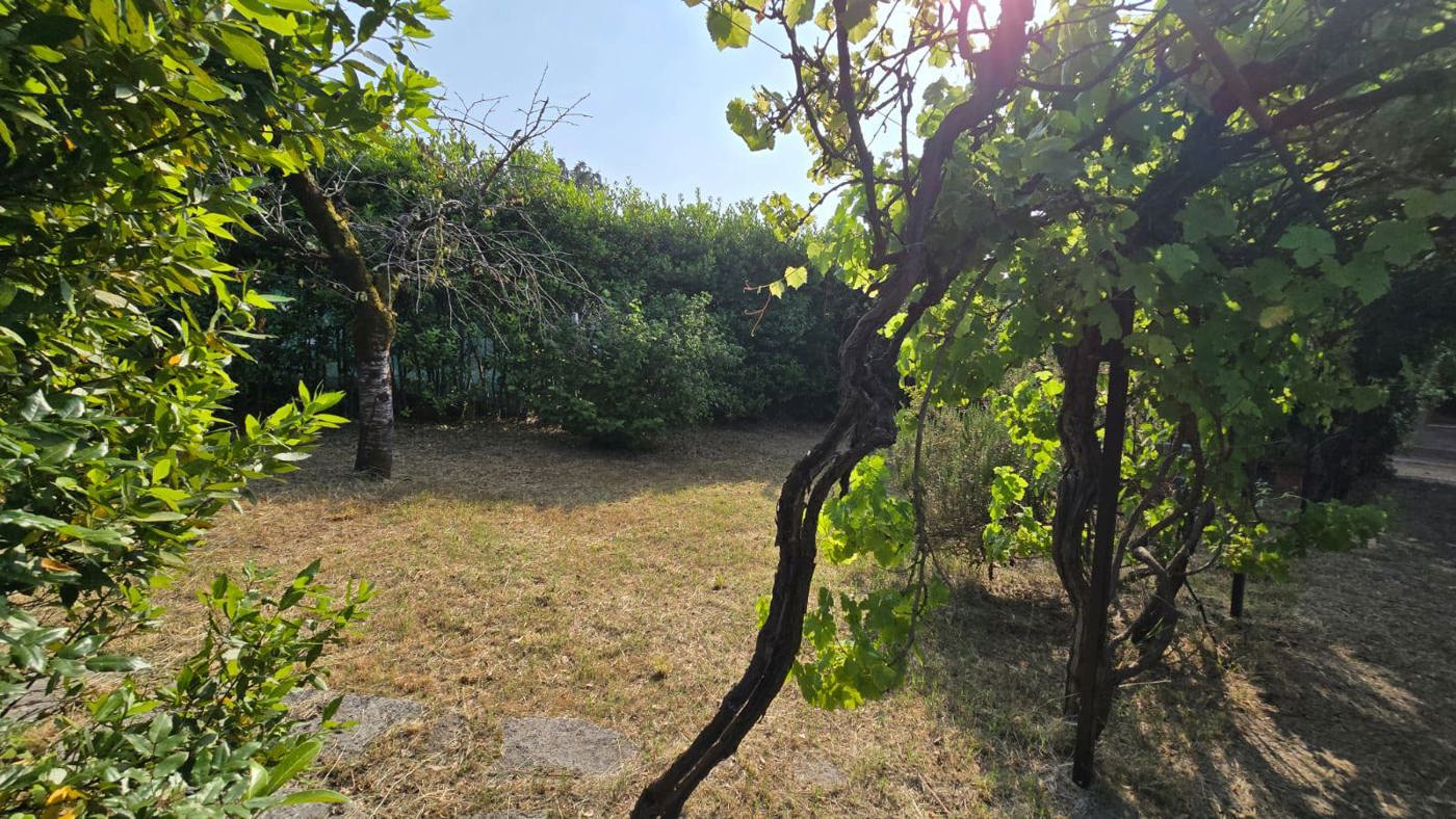 02_giardino (6).jpg