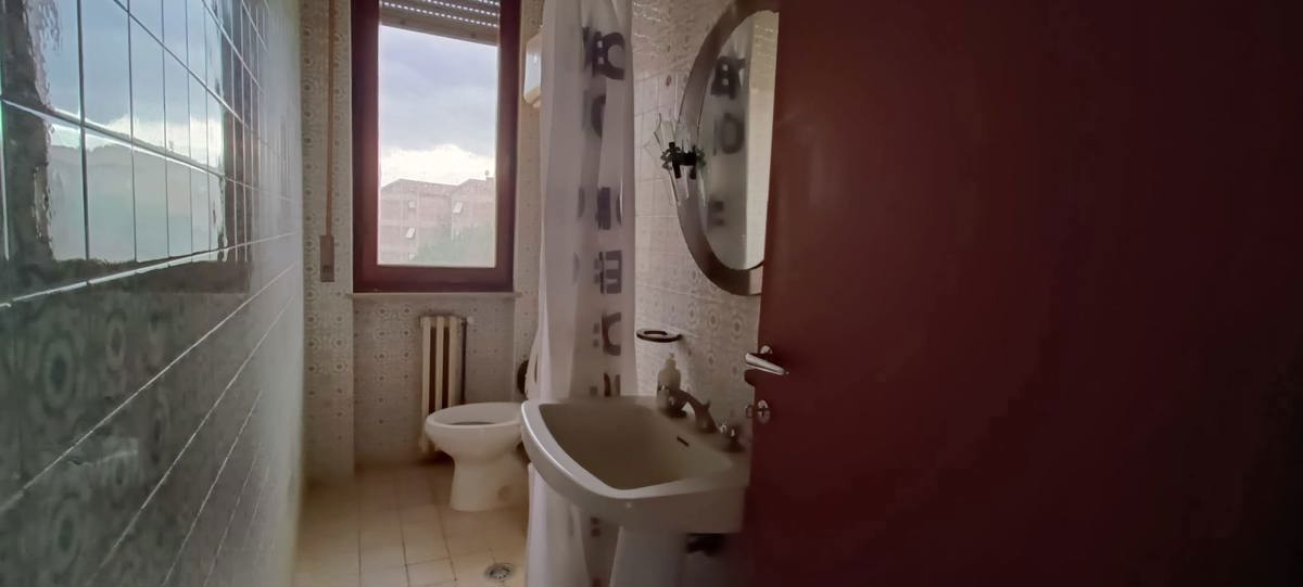 IMG-20231030-WA0016.jpg