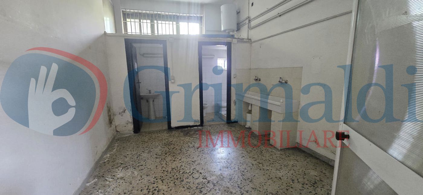 9485ac39-e26d-4516-ad76-dae798cb6099.jpg