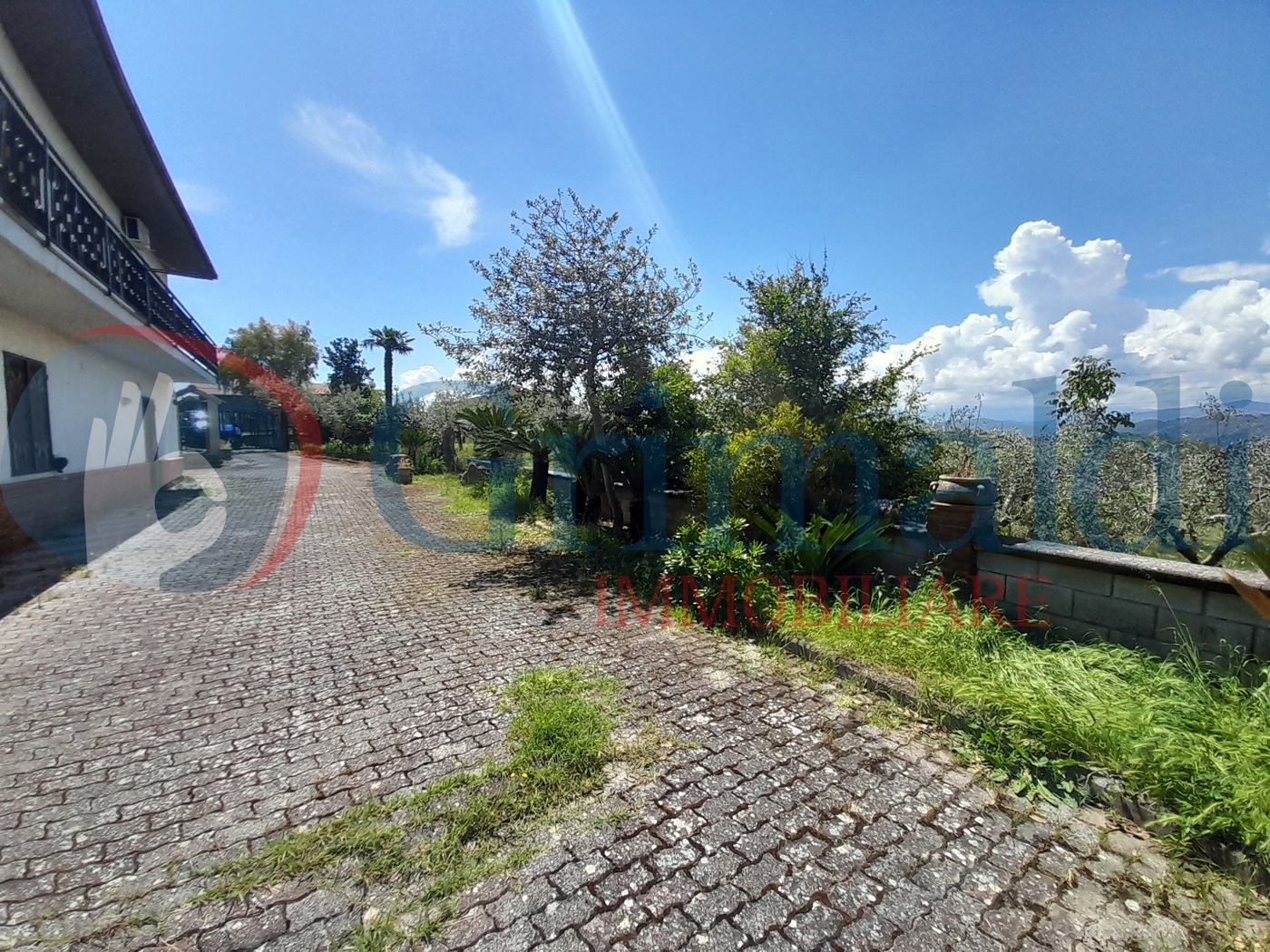 09.jpg