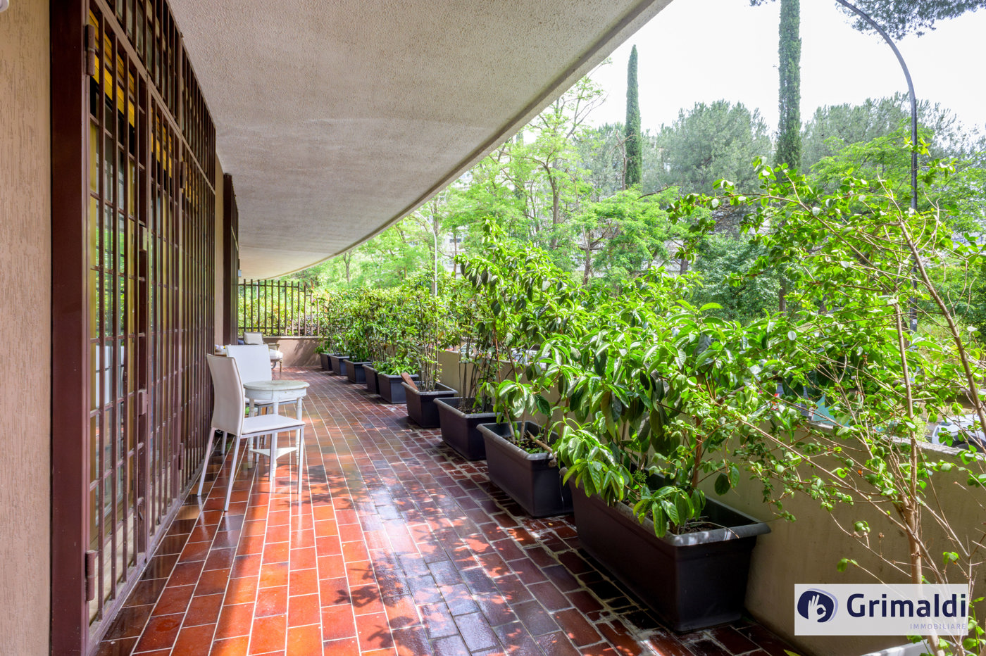 TERRAZZO