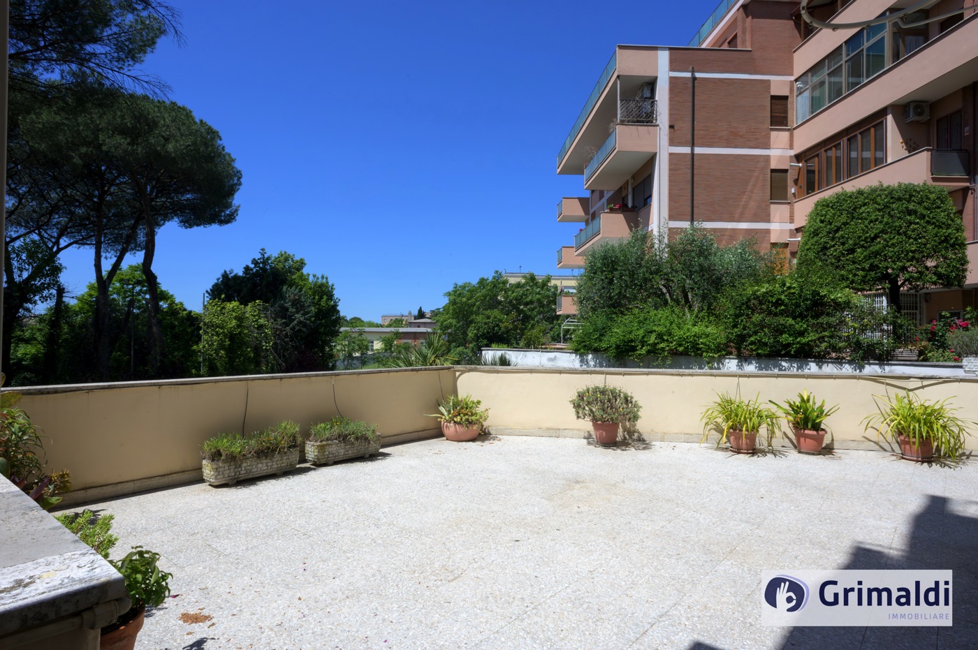 TERRAZZO