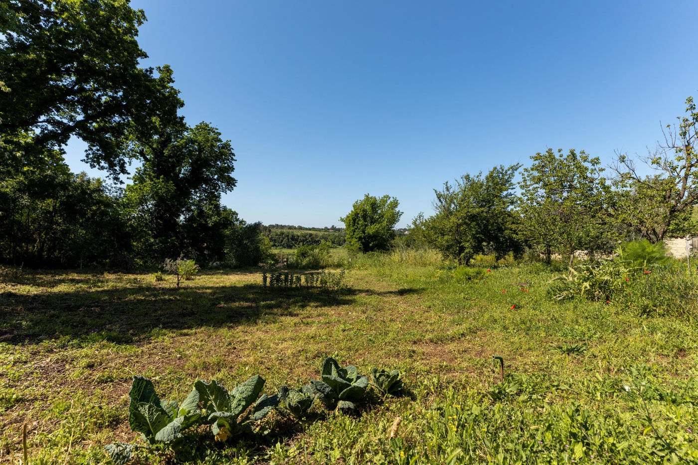 GIARDINO