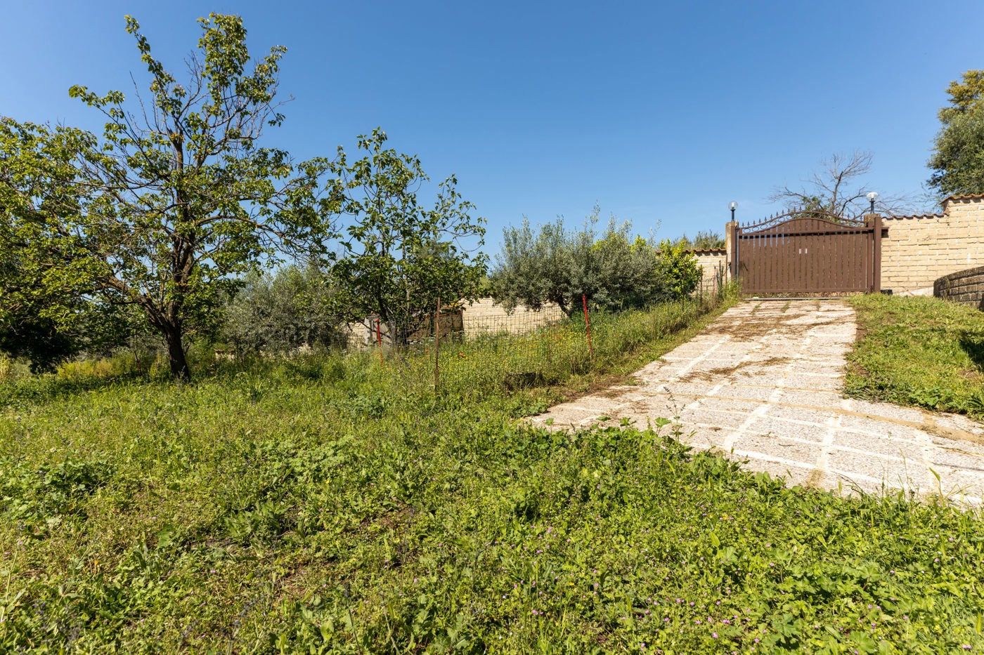 GIARDINO
