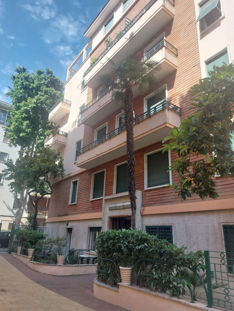 PALAZZO.jpeg