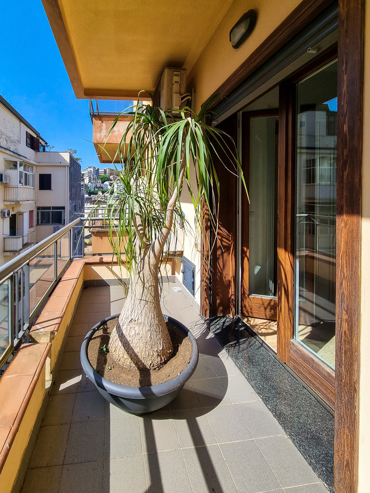 BALCONE