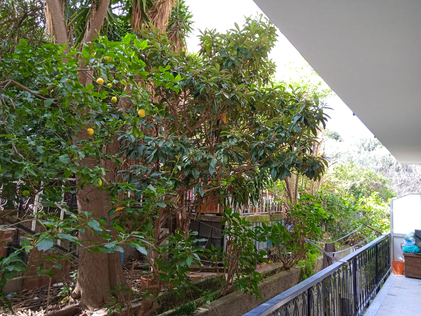 Balcone