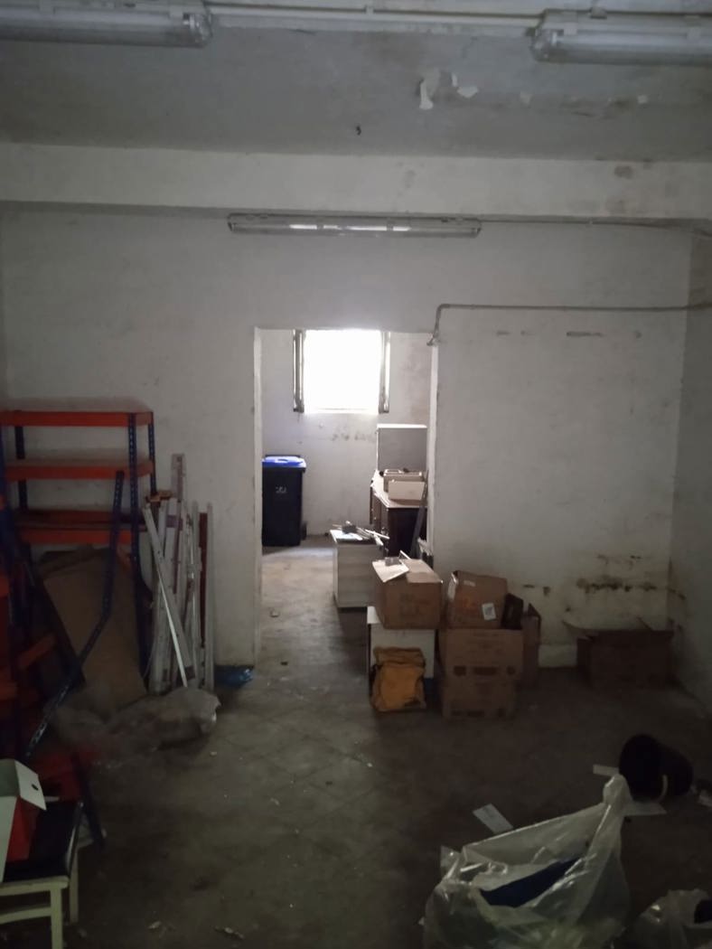 FOTO 5.jpg