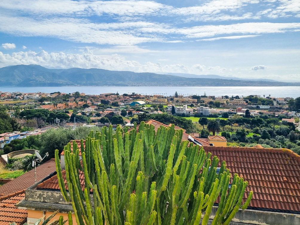 PANORAMA