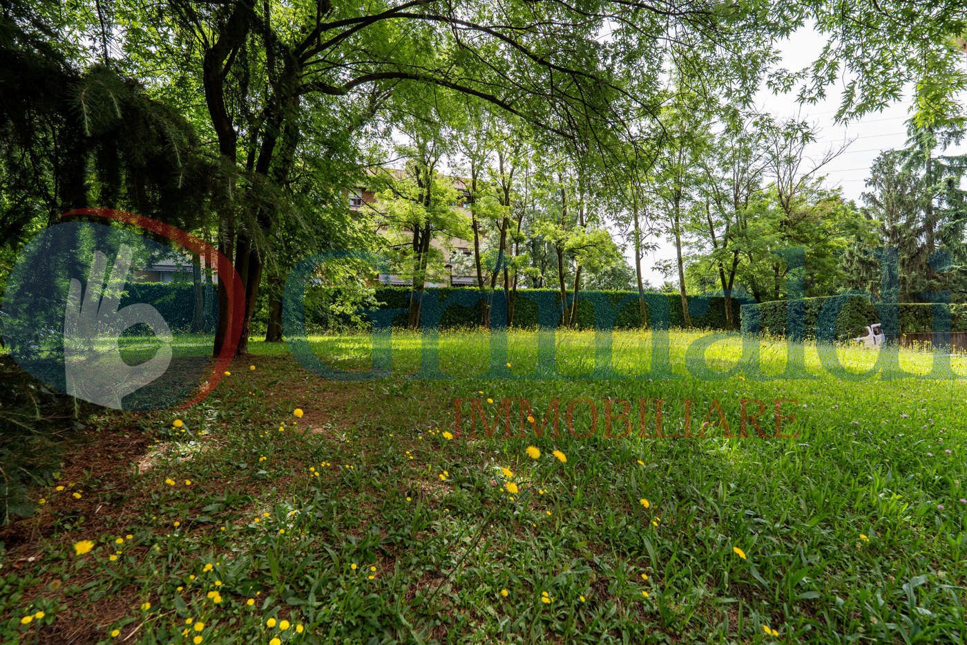 Trezzo via Pellico 47 (37 di 54).jpg