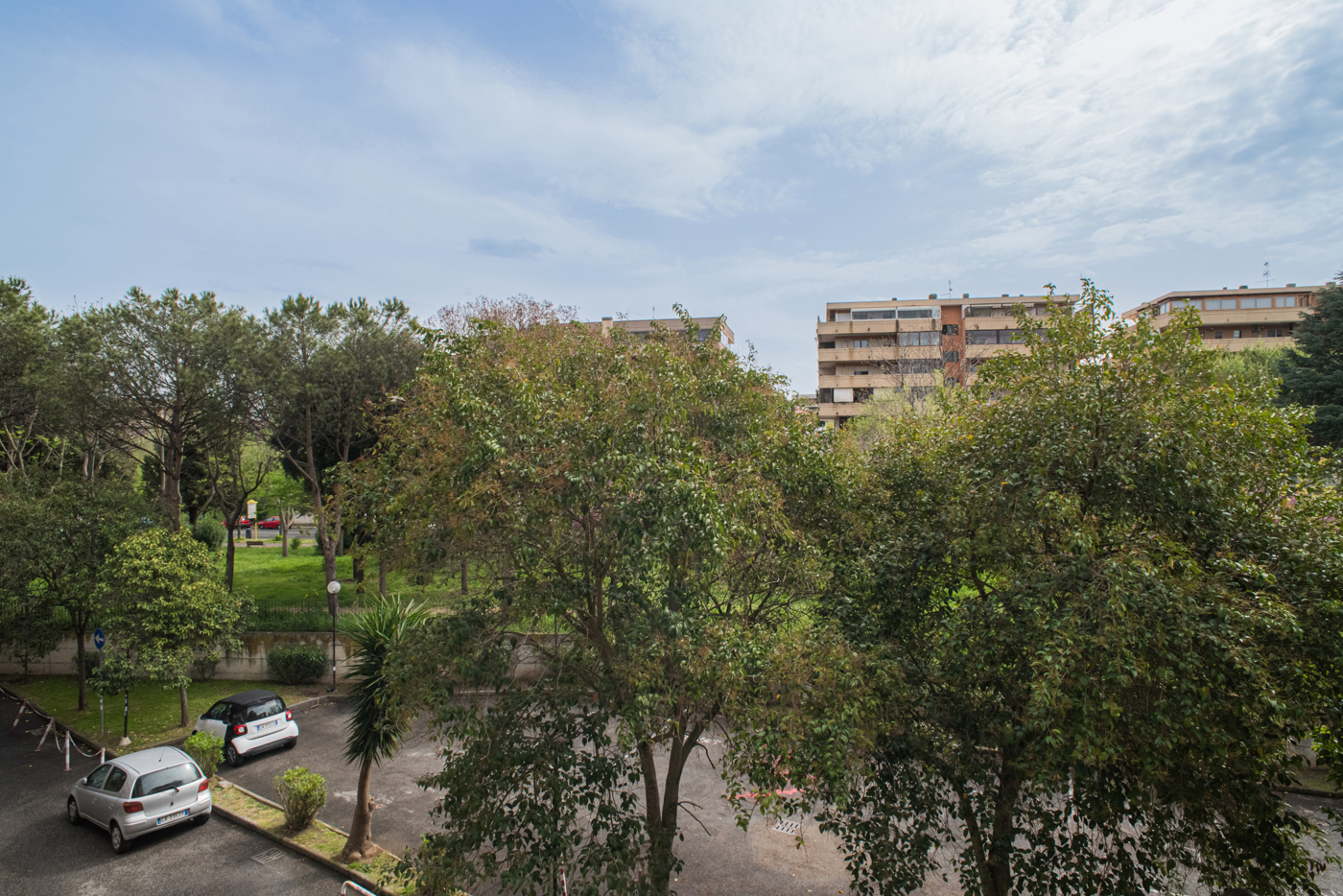 _DSC8244.jpg