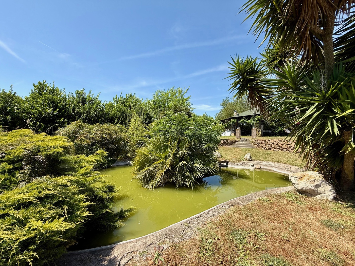 Villa_Vignoli_Roma (47).jpg