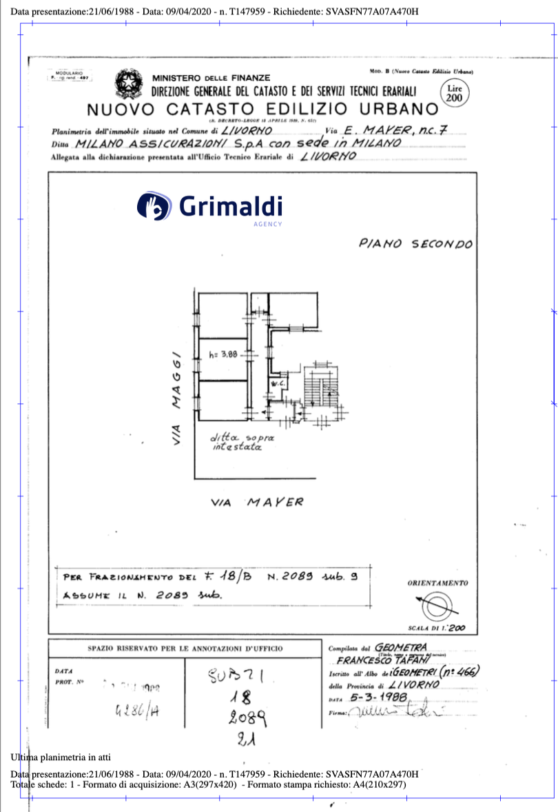 Screenshot 2025-03-25 alle 11.35.39.png