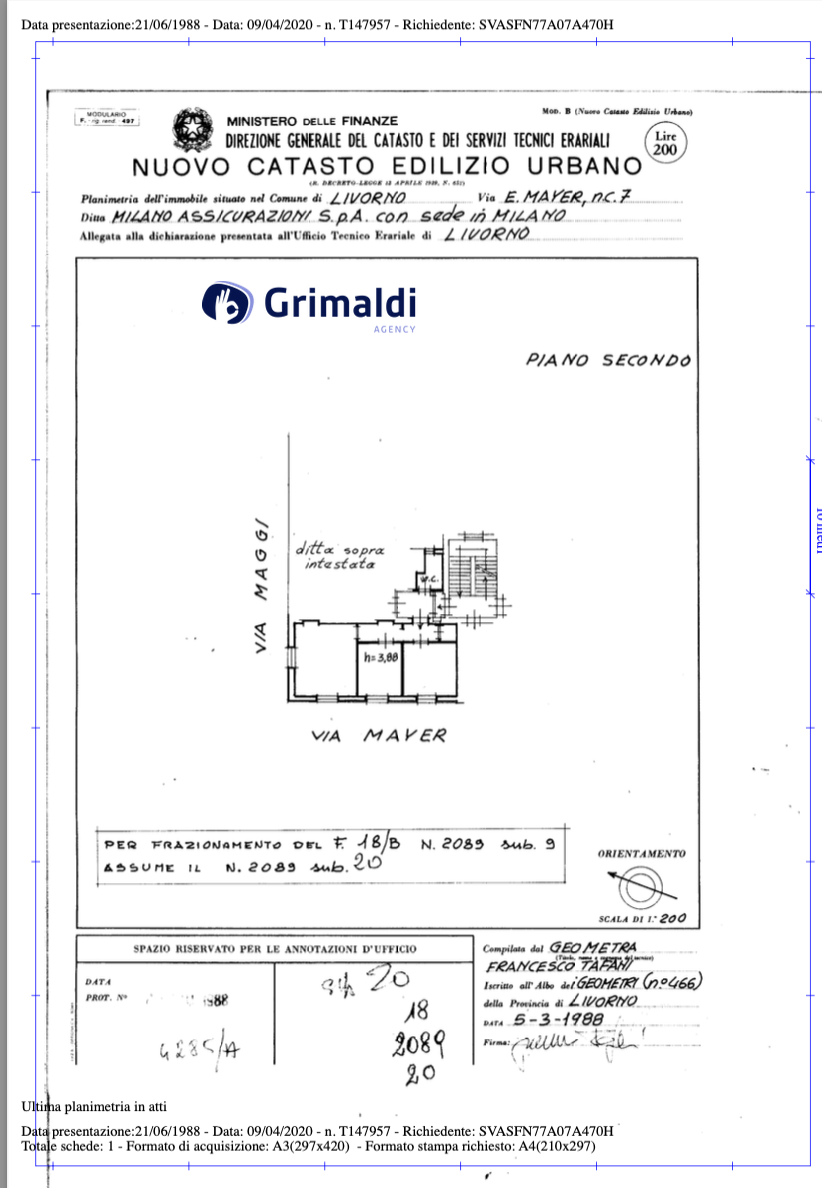 Screenshot 2025-03-25 alle 11.35.27.png