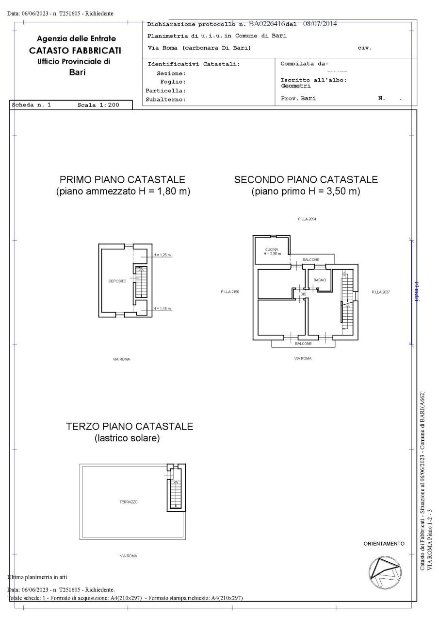 PLAN CARBONARA.jpg