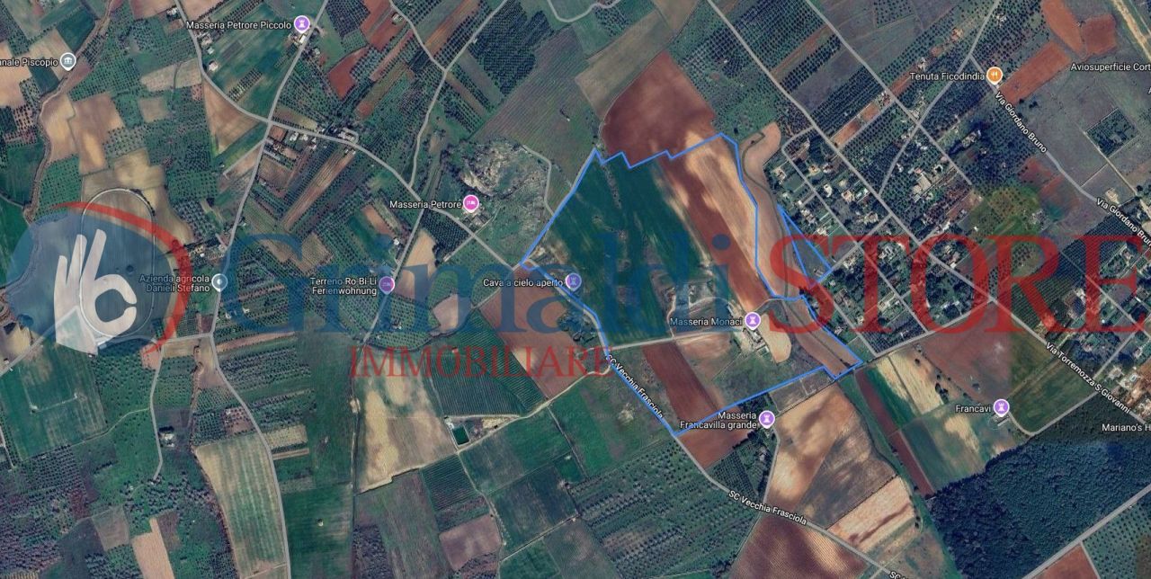 Immagine 2025-01-30 184021_risultato.jpg