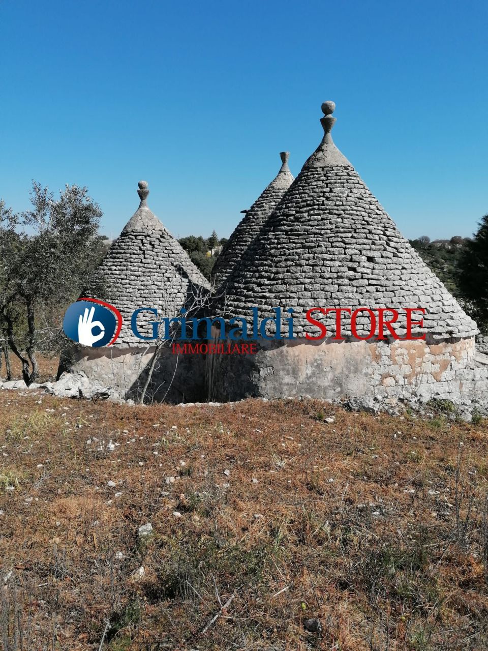Vista Laterlae.jpg