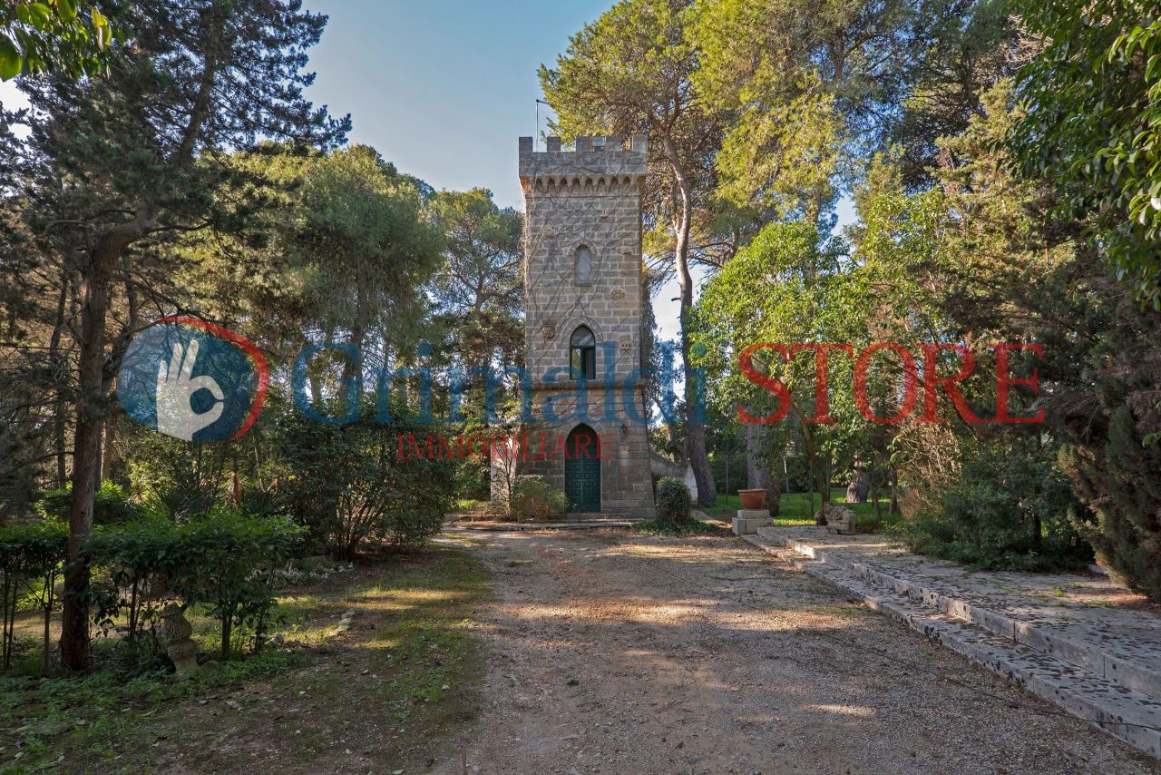 _1003077_risultato.jpg