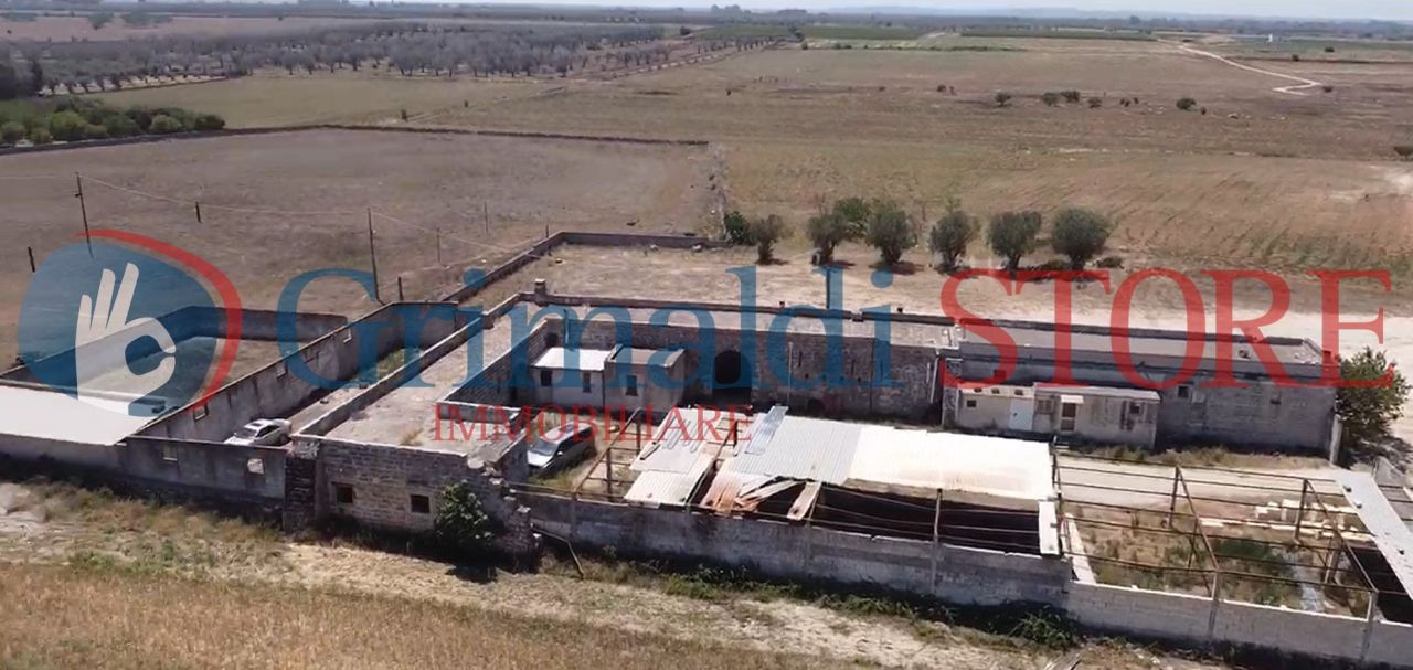 Immagine 2025-01-31 105525_risultato.jpg