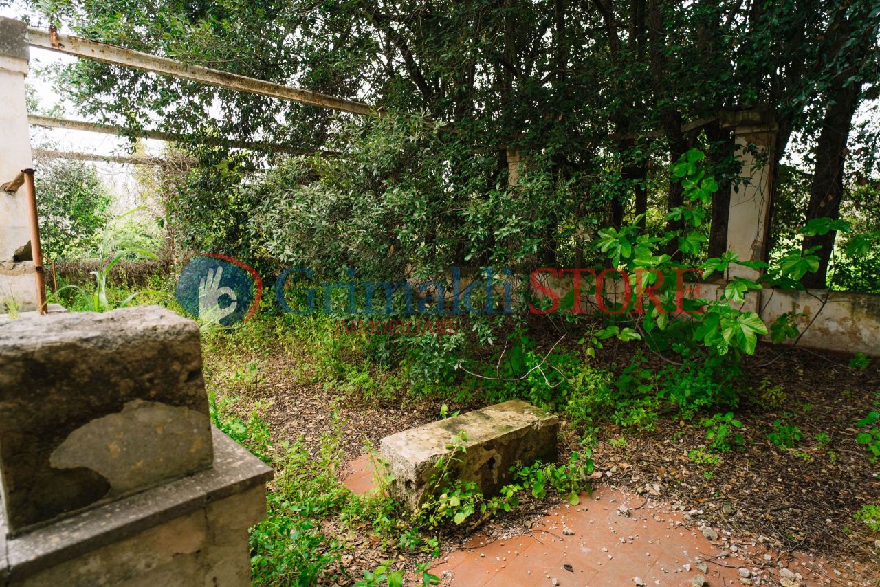 Image25.jpg