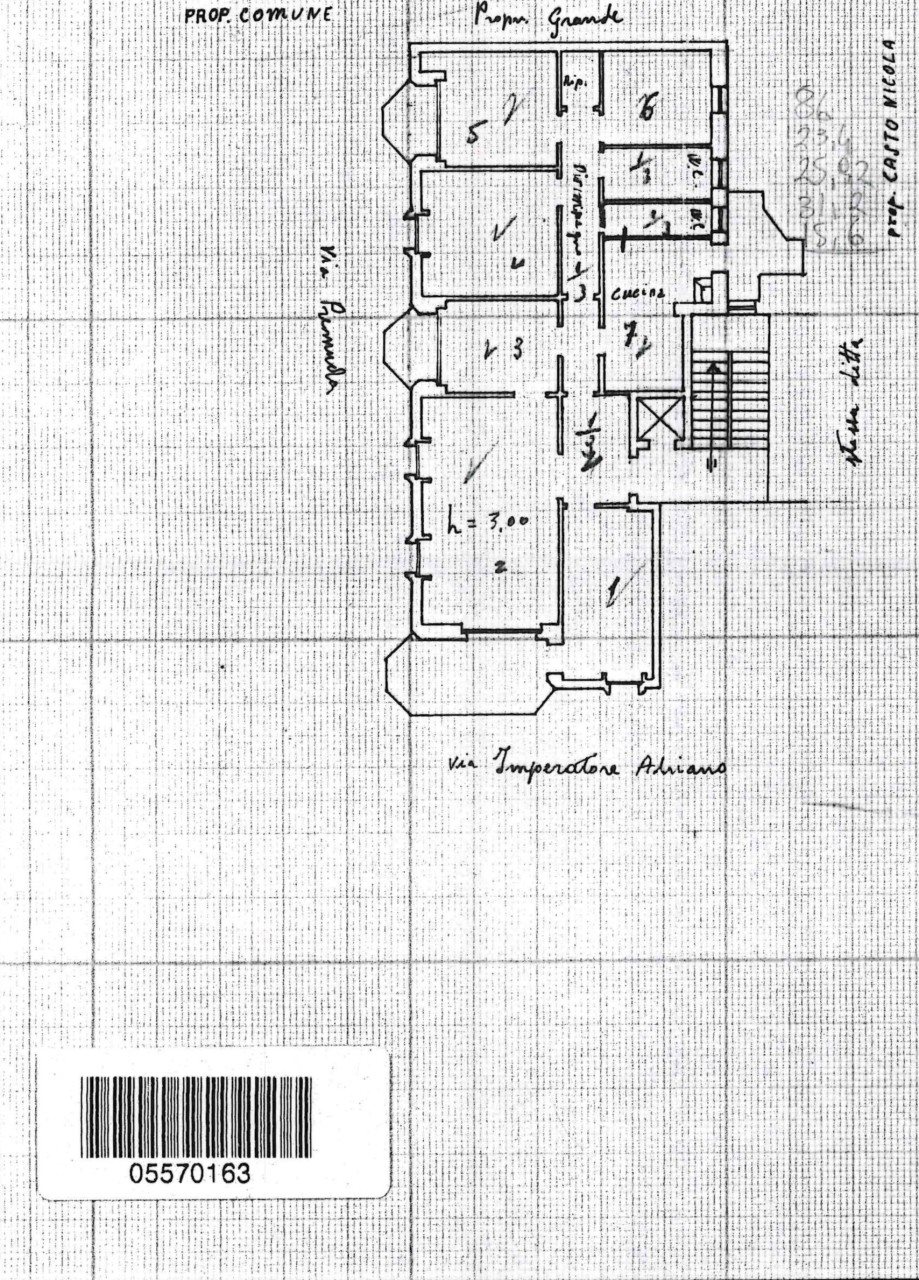 PLN VIA I.ADRIANO,10.jpg