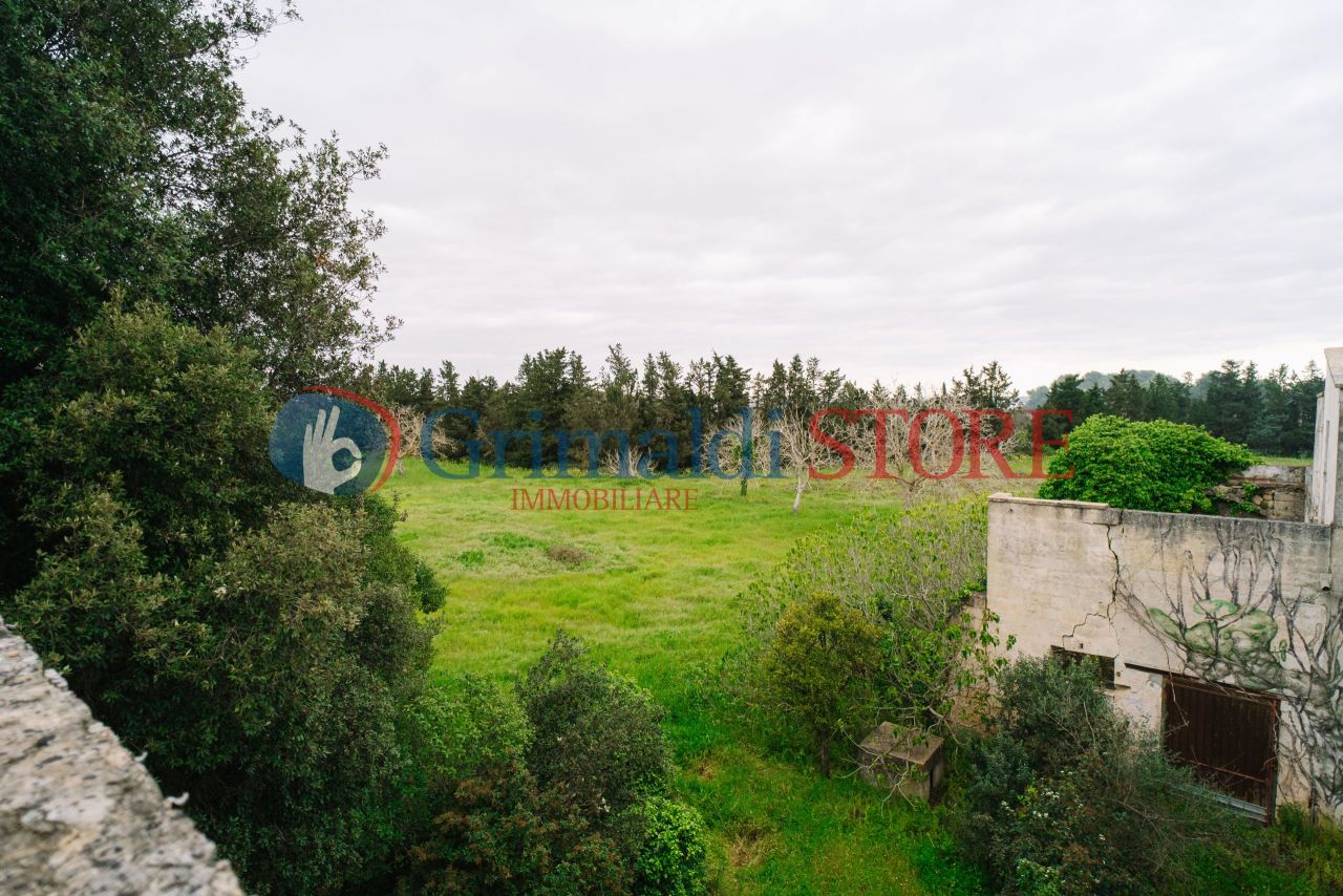 Image23.jpg