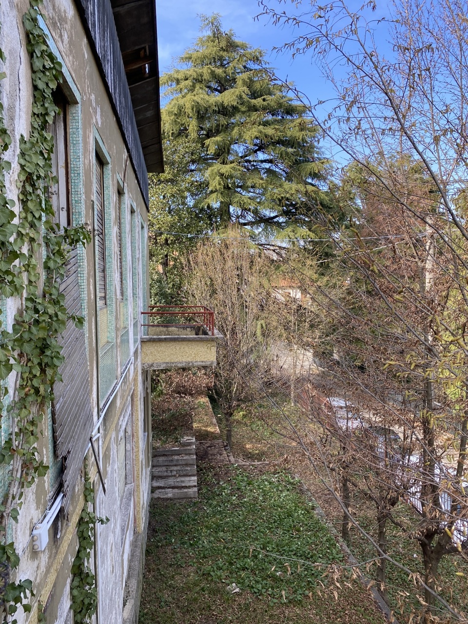Giardino