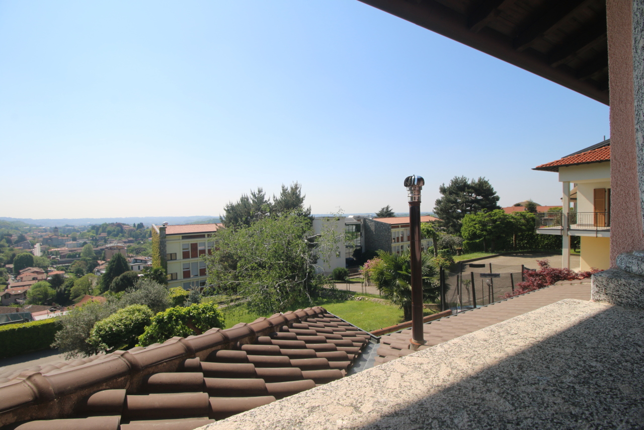 vista