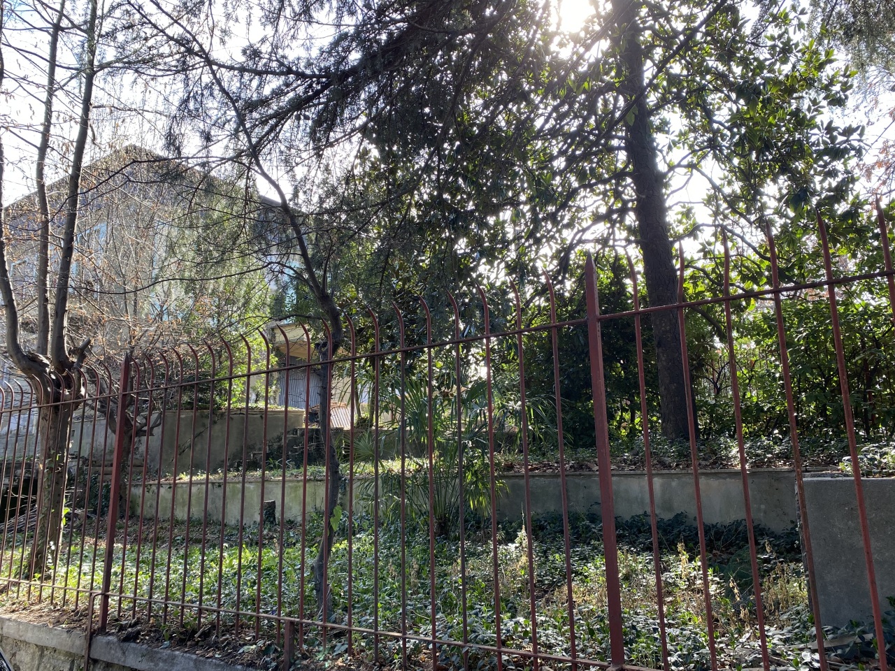 Giardino
