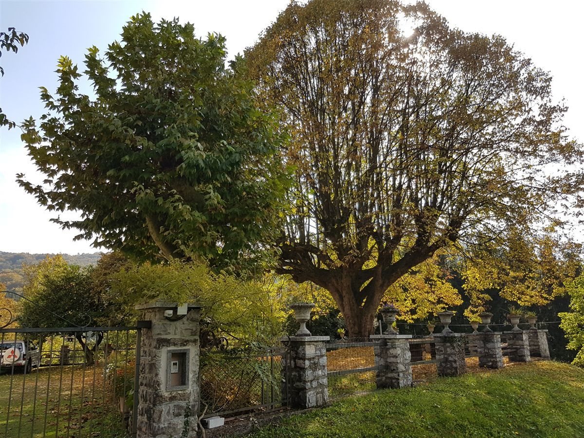 Giardino di proprieta