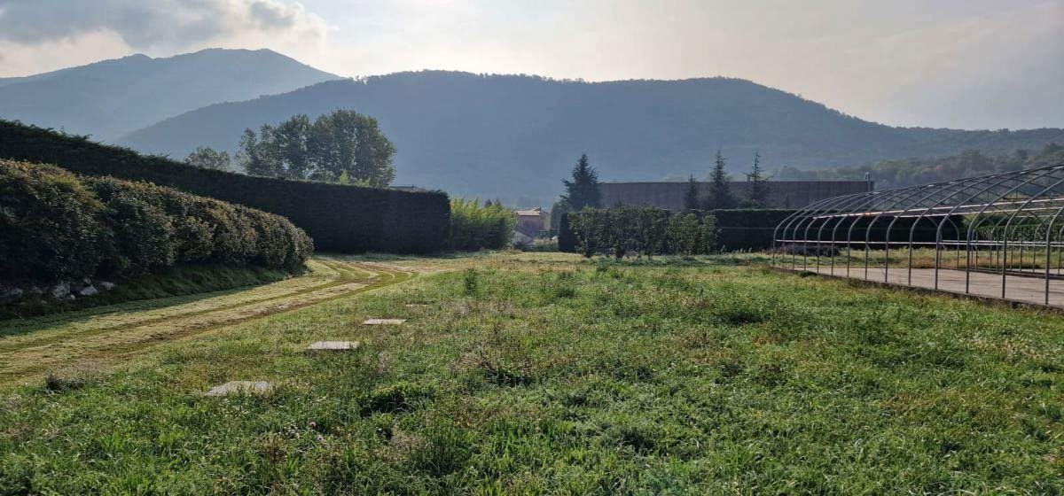 Terreno di proprieta