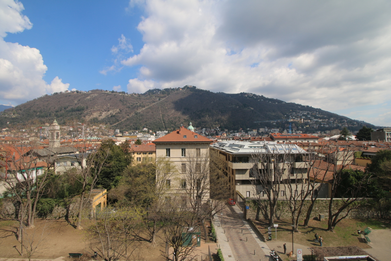 Vista