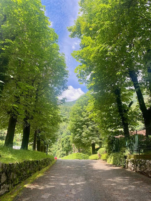 Viale ingresso