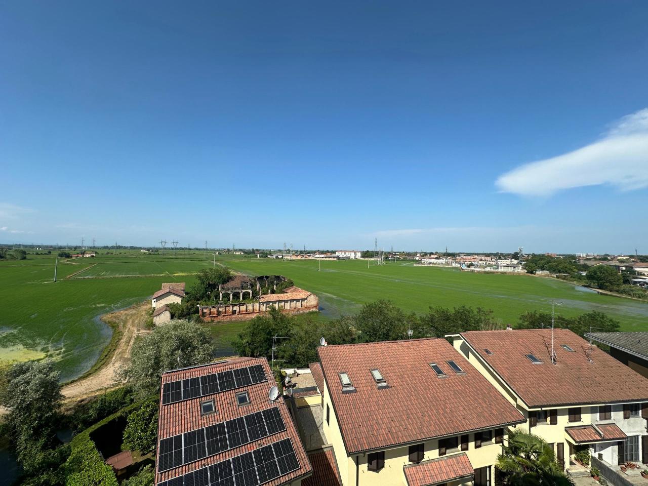 Vista
