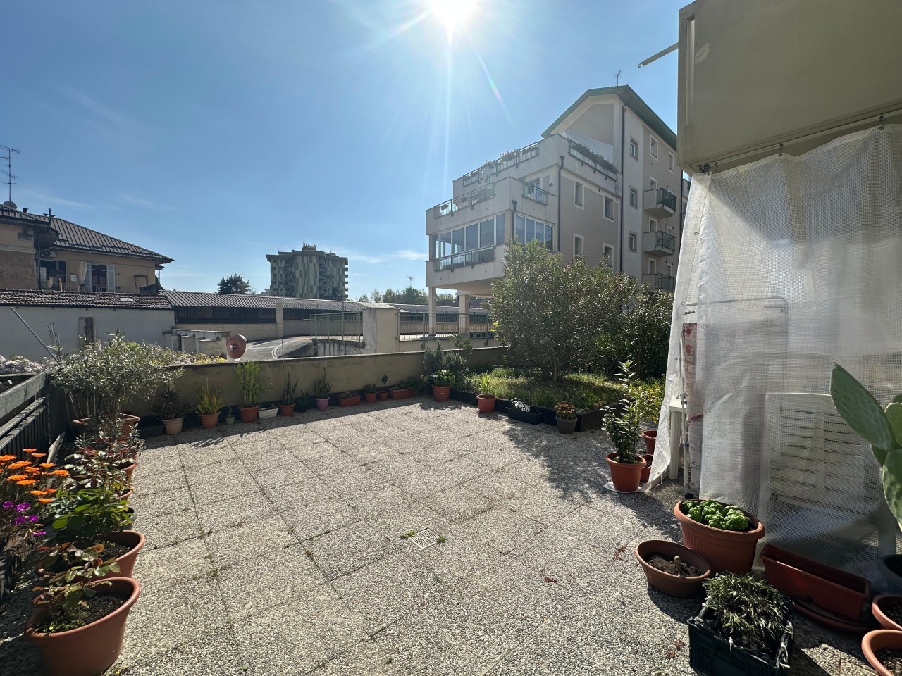 Cortile