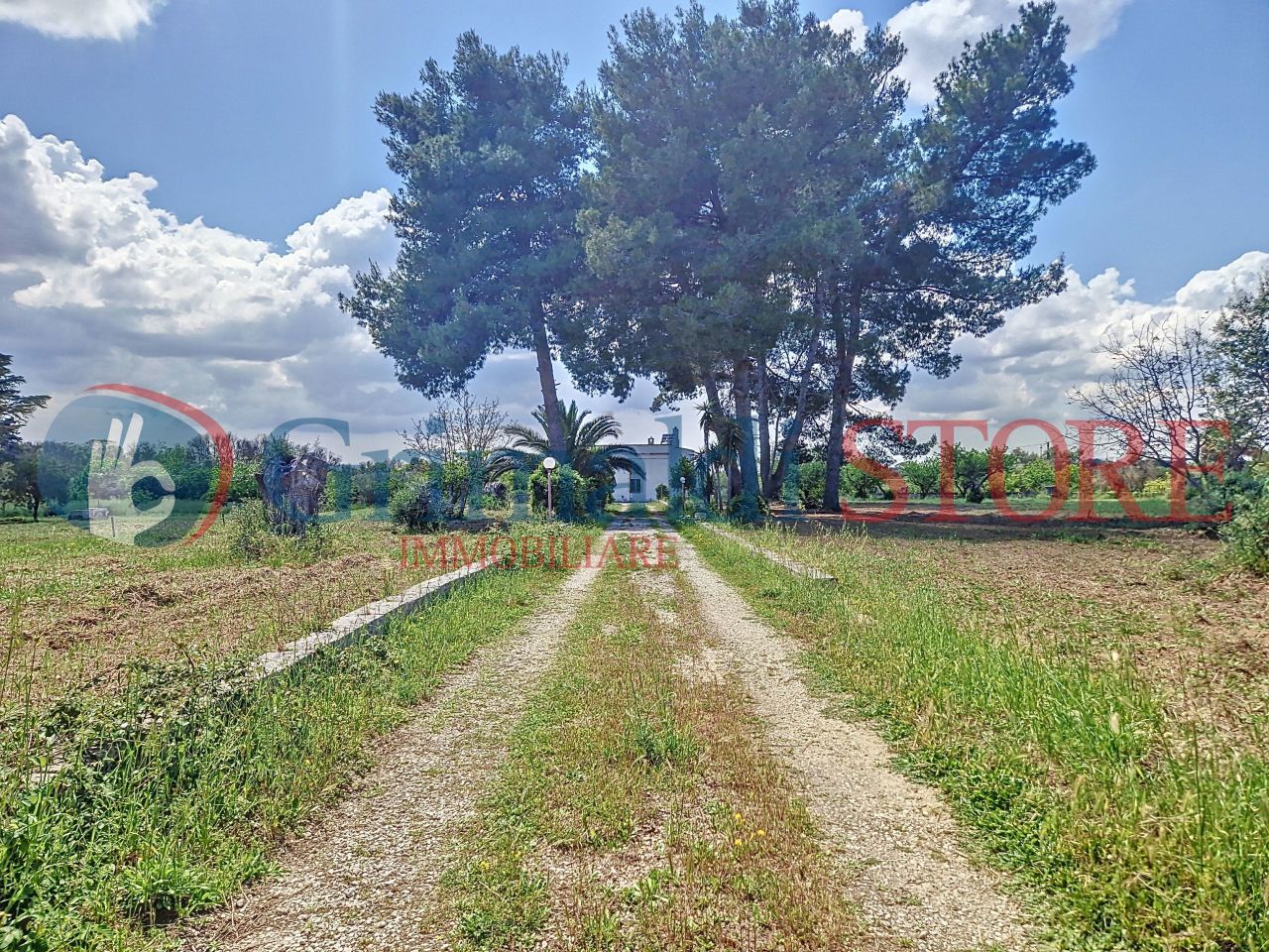 casale-contrada-canali-rosiello_0007_result.jpg