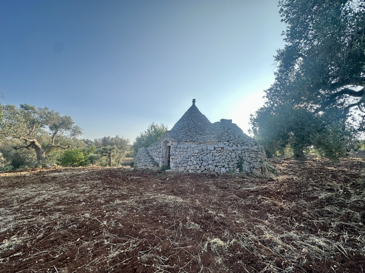 IMG_1957.jpeg