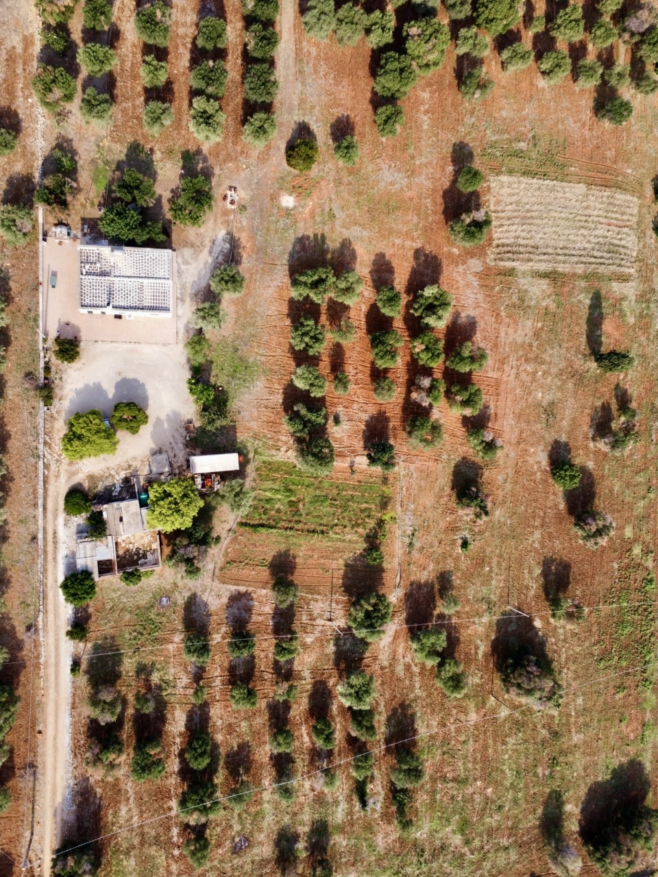 dji_fly_20240902_094556_338_1725263165457_photo_op