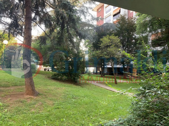 210 (2).jpeg