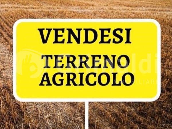 Terreno non edificabile