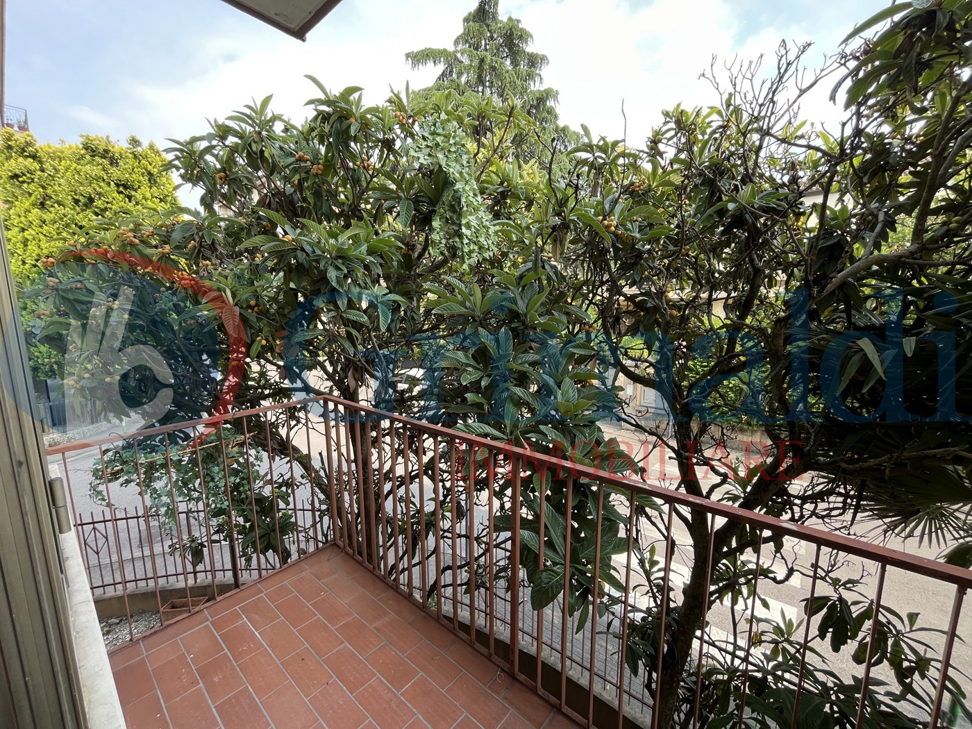 terrazzino